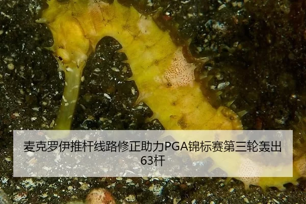 mai-ke-luo-yi-tui-gan-xian-lu-xiu-zheng-zhu-li-jin-biao-sai-di-san-lun-hong-chu-gan-2-459.jpg